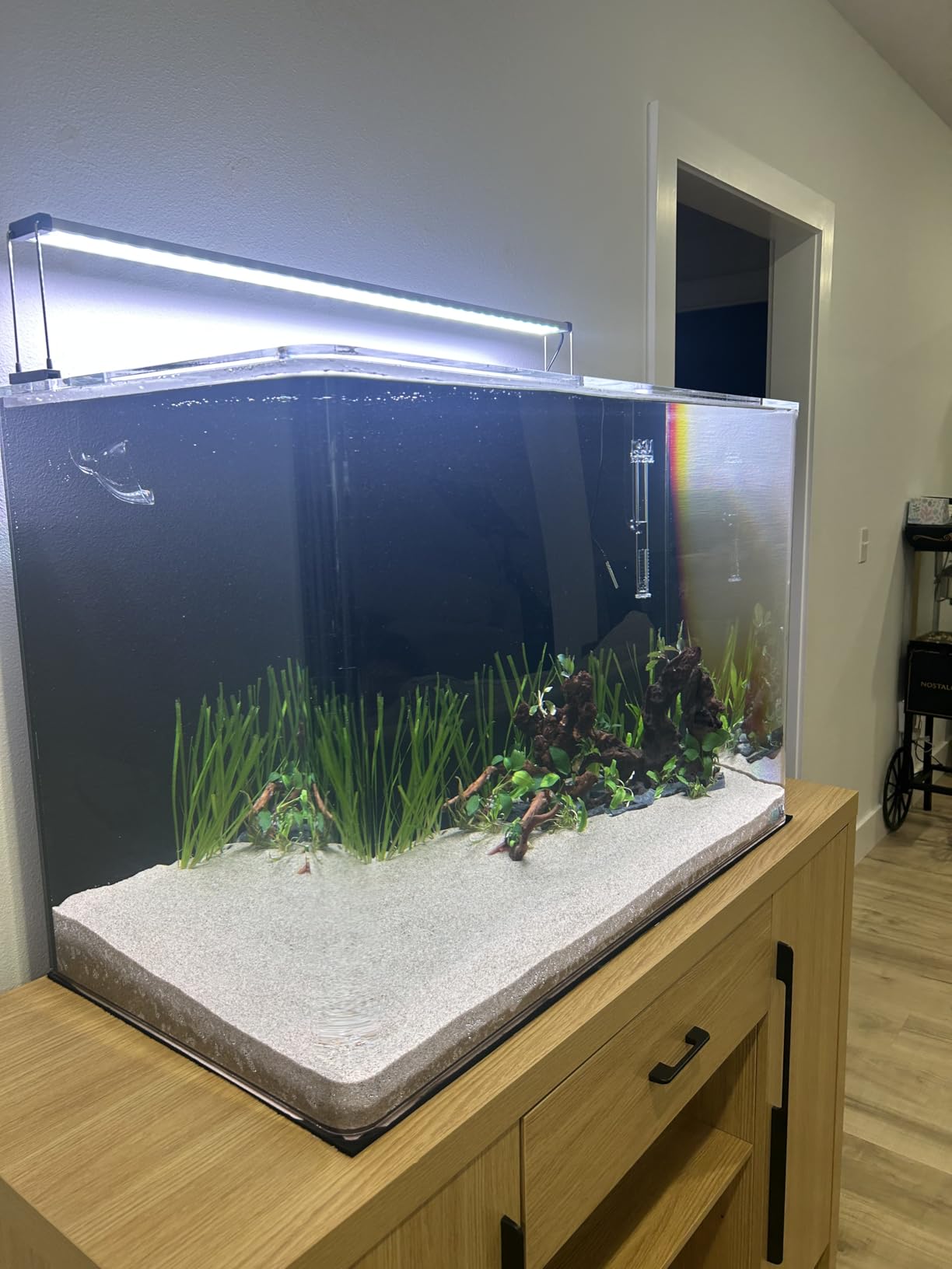 Chihiros B Series - Full Spectrum Dimmable Freshwater Aquarium LED Light, App Controlled for Planted Tank Aquascaping - Fits 60-80CM - B60 customer photo 2