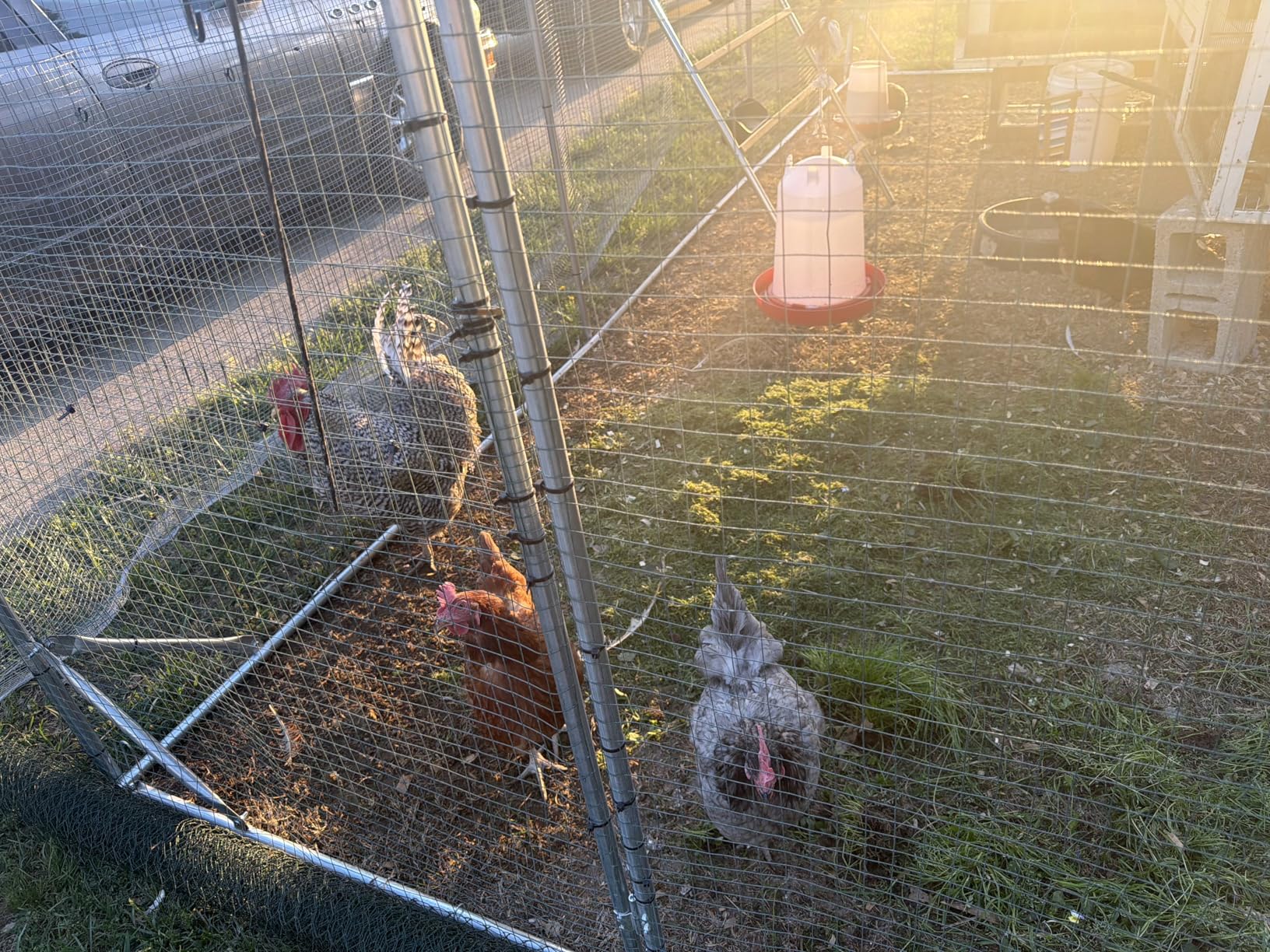Quictent Large Metal Chicken Coop Run for 30+ Poultry with Metallic Perch, Side Hardware Cloth & Cover, Advanced Series Outdoor Walk-in Cage Hen Duck Rabbit Dog Pen Yard Farm House, 18x9x6.6FT customer photo 1