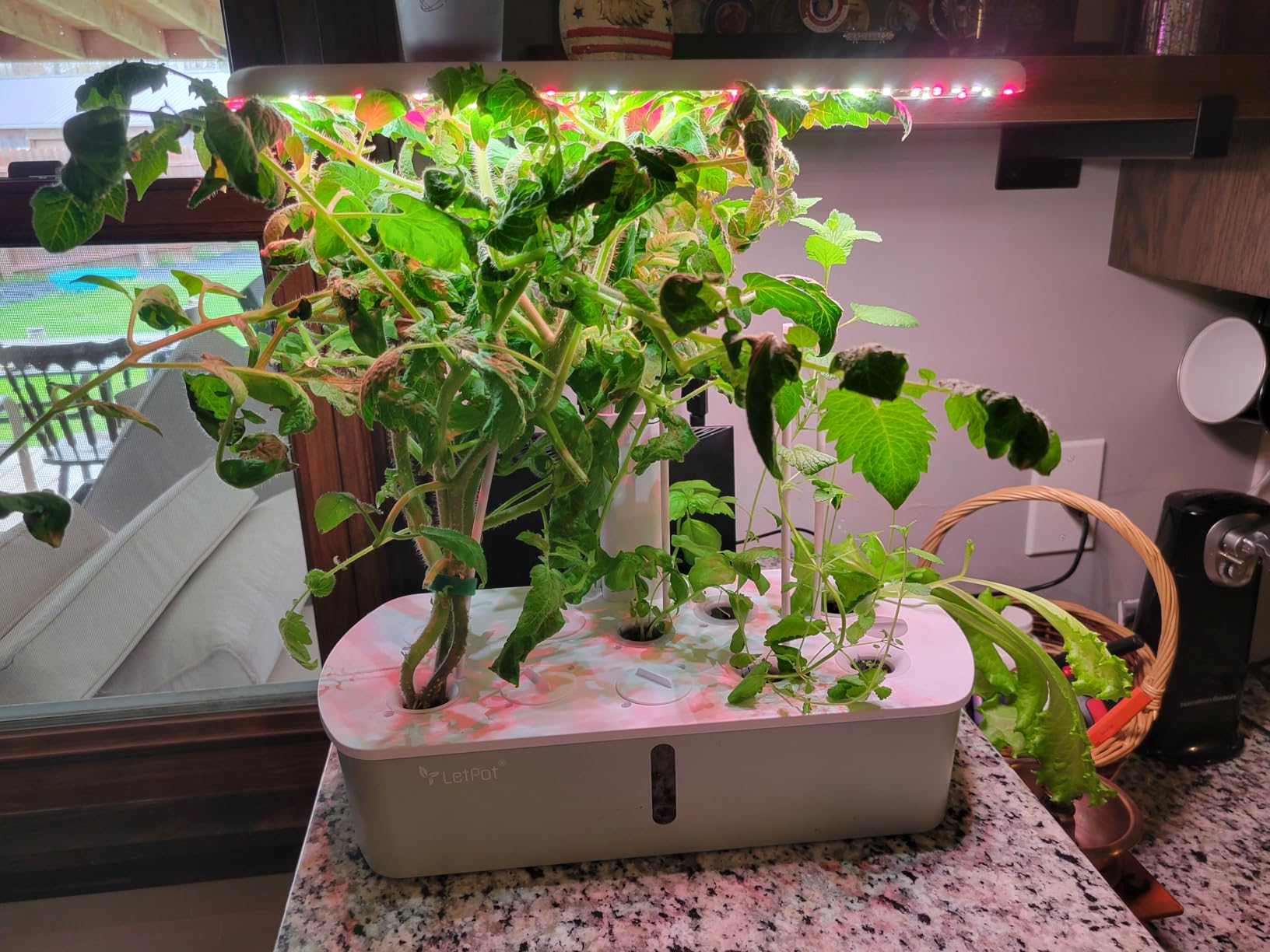 LetPot LPH-Air Hydroponics Growing System Kits, APP & WiFi Controlled Smart Indoor Garden with Adjustable 24W Grow Light customer photo 1