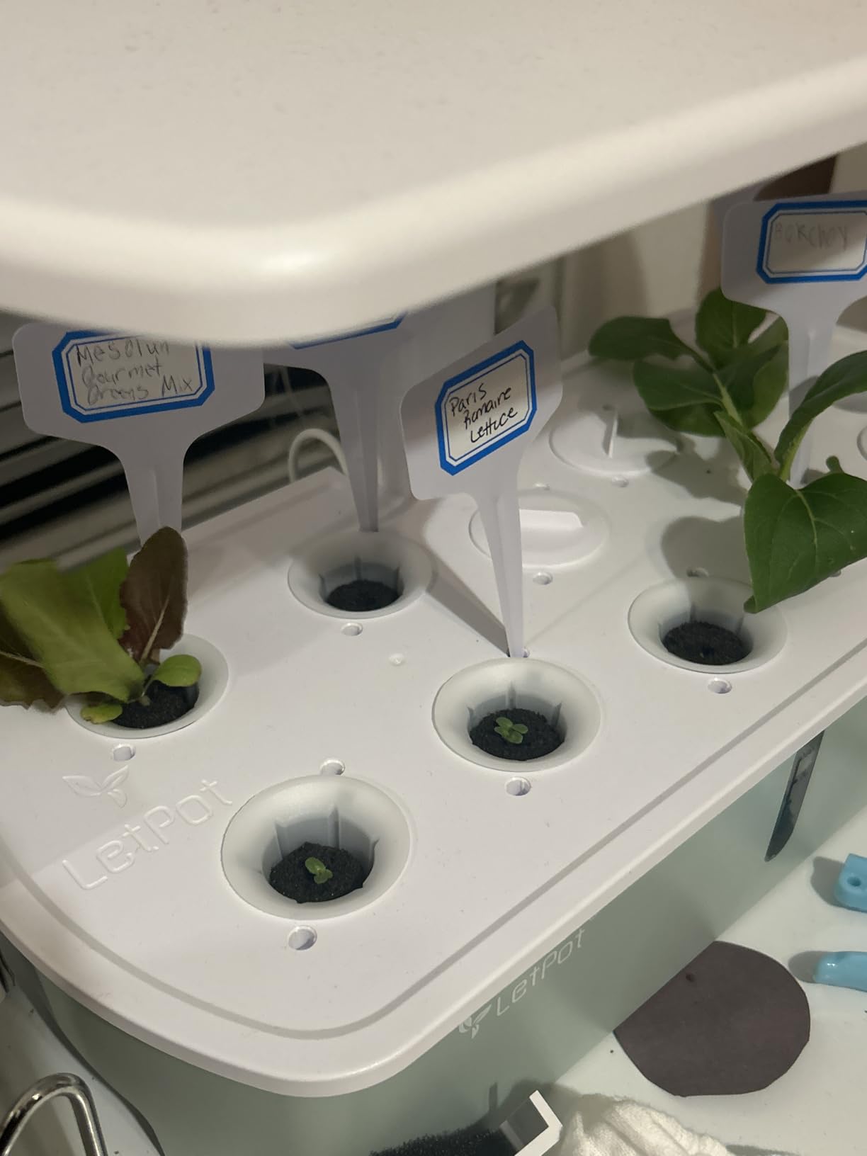 LetPot LPH-Air Hydroponics Growing System Kits, APP & WiFi Controlled Smart Indoor Garden with Adjustable 24W Grow Light customer photo 2