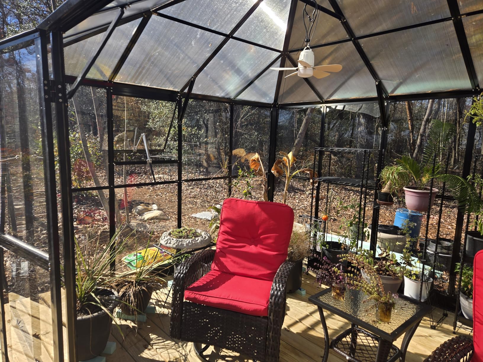 Jocisland 16x12x9.5 FT Polycarbonate Greenhouse- 6 FT Wall Height Outdoor Aluminum Greenhouses with 2 Ventilation and Rain Gutter, Double Doors with Hook, Walk-in Greenhouse for Backyard Garden customer photo 2