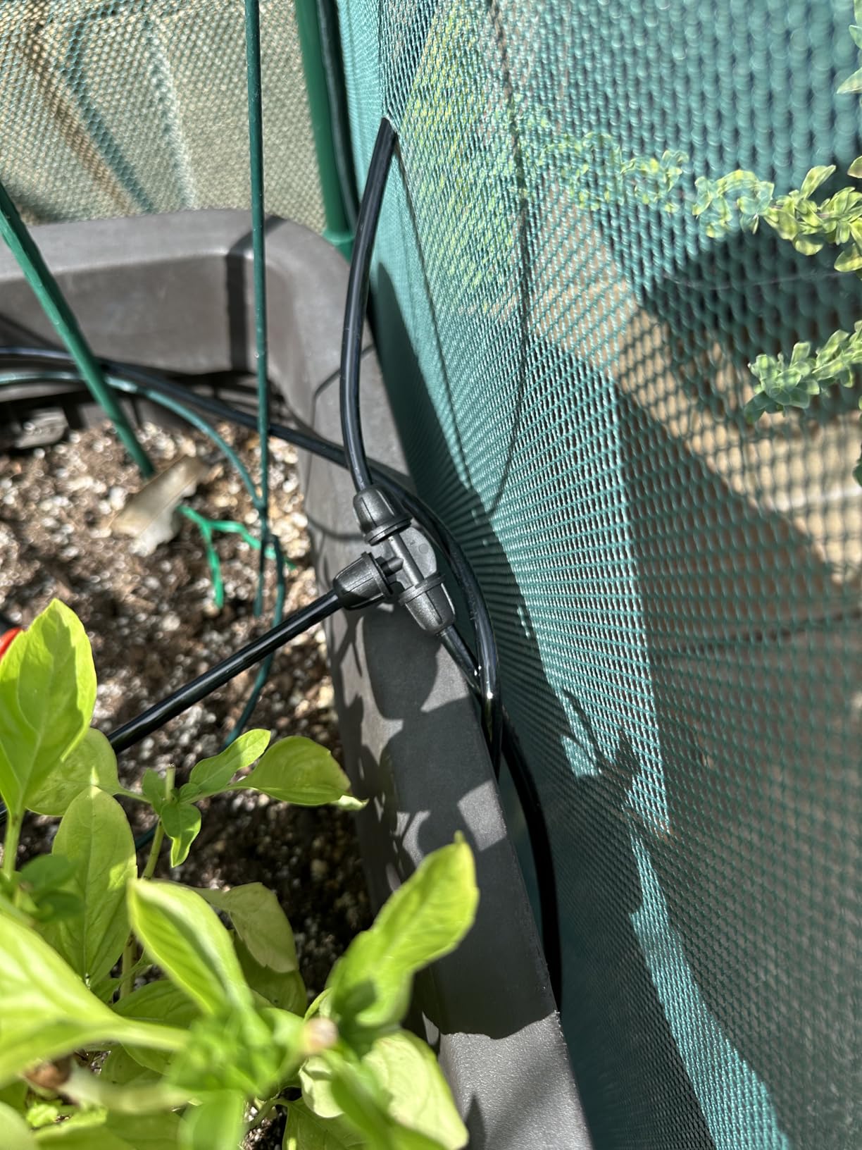 LetPot Automatic Watering System for Potted Plants, [Wi-Fi & App Control] Drip Irrigation Kit System, Smart Plant Watering Devices for Indoor Outdoor, Water Shortage Remind, IPX66, Green customer photo 2