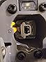 DEWALT 20V MAX* XR Brushless Cordless Reciprocating Saw (Tool Only) (DCS384B) customer photo 1