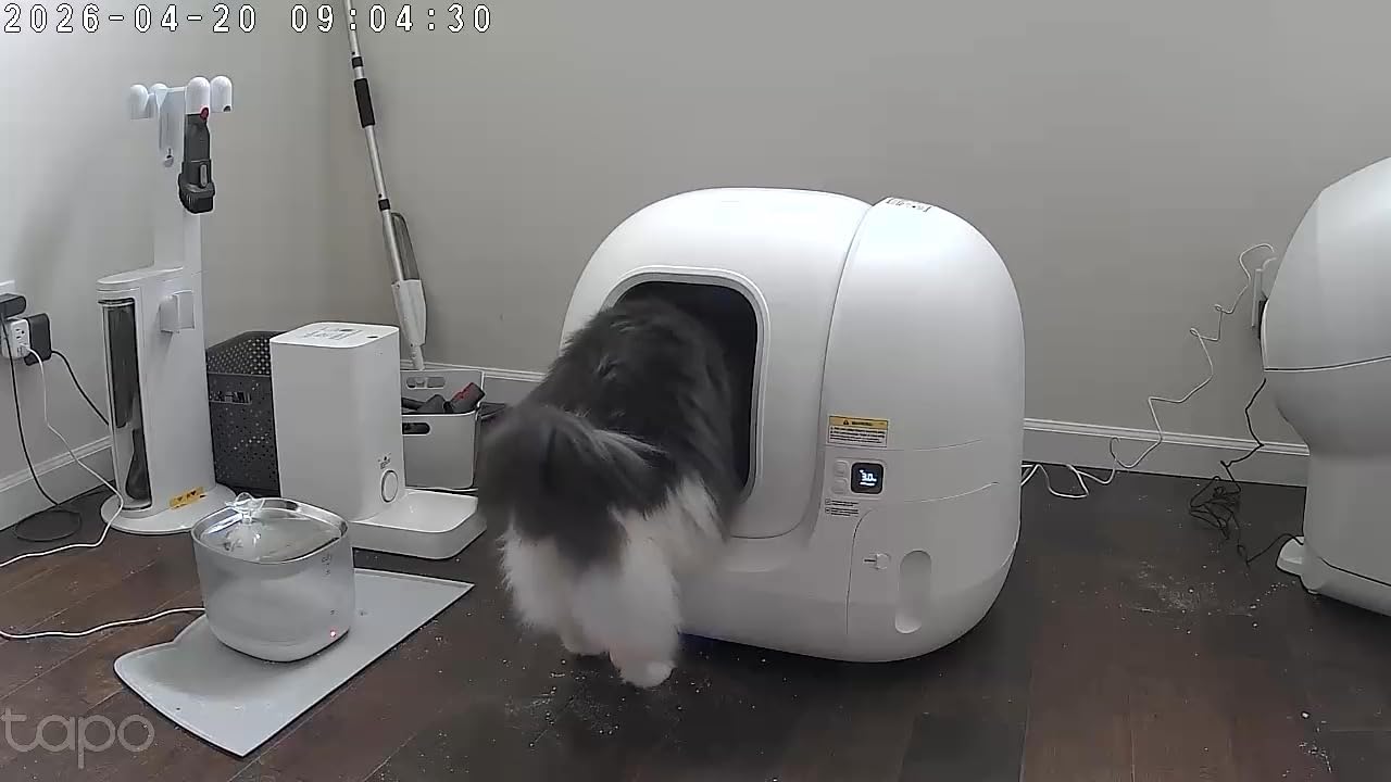 PETKIT PuraMax 2 Automatic Self-Cleaning Cat Litter Box, App Control Automatic Litter Box with Safety Sensors, Odor Free & Anti-Leakage Basic Bundle Includes Trash Bags, 2.4G WiFi & Low Entrance customer photo 1