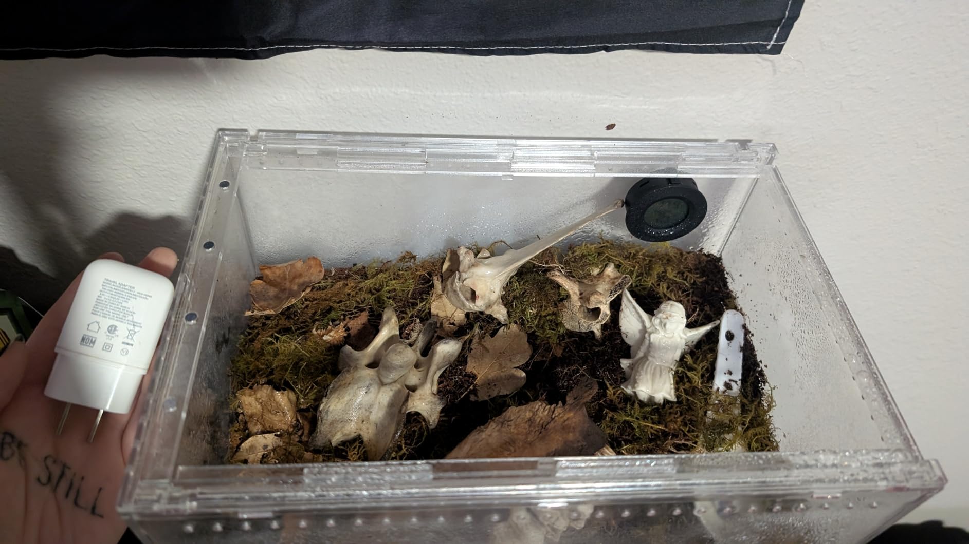 Reptile PC Terrarium, Tarantula Enclosure, Spider Tank Starter Kit, Leopard Gecko Container, Hermit Crab Habitat, Lizard Enclosure, Insect Housing, Jumping Spider Cage, Small Bearded Dragon Vivarium (S) customer photo 2
