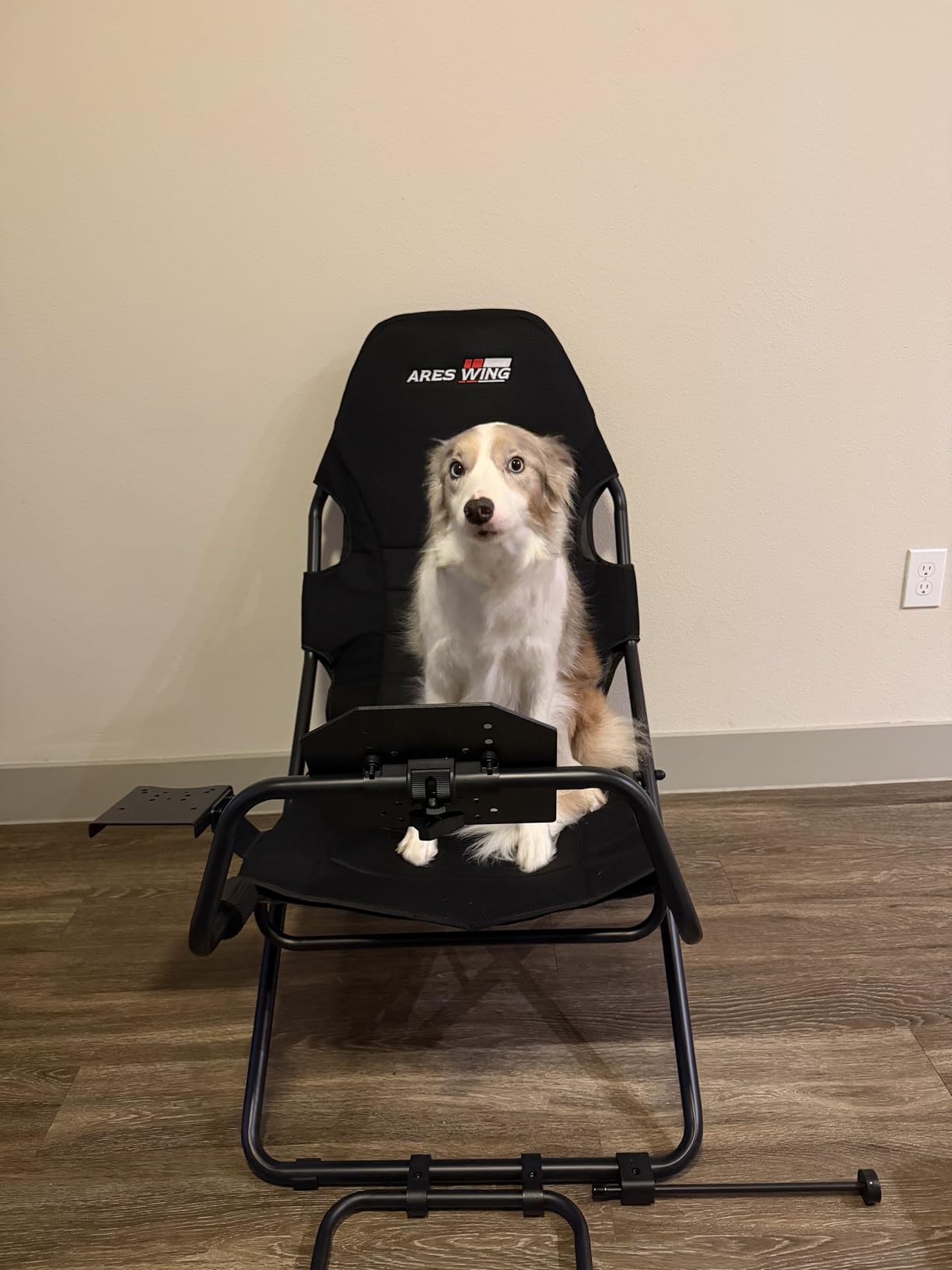 ARES WING Foldable Racing Simulator Cockpit, Racing Wheel Stand with Seat, Space Saving Sim Racing Rig for Small Spaces with Fanatec, Driving Simulator Compatible with Moza Games on PS5 and PC customer photo 1