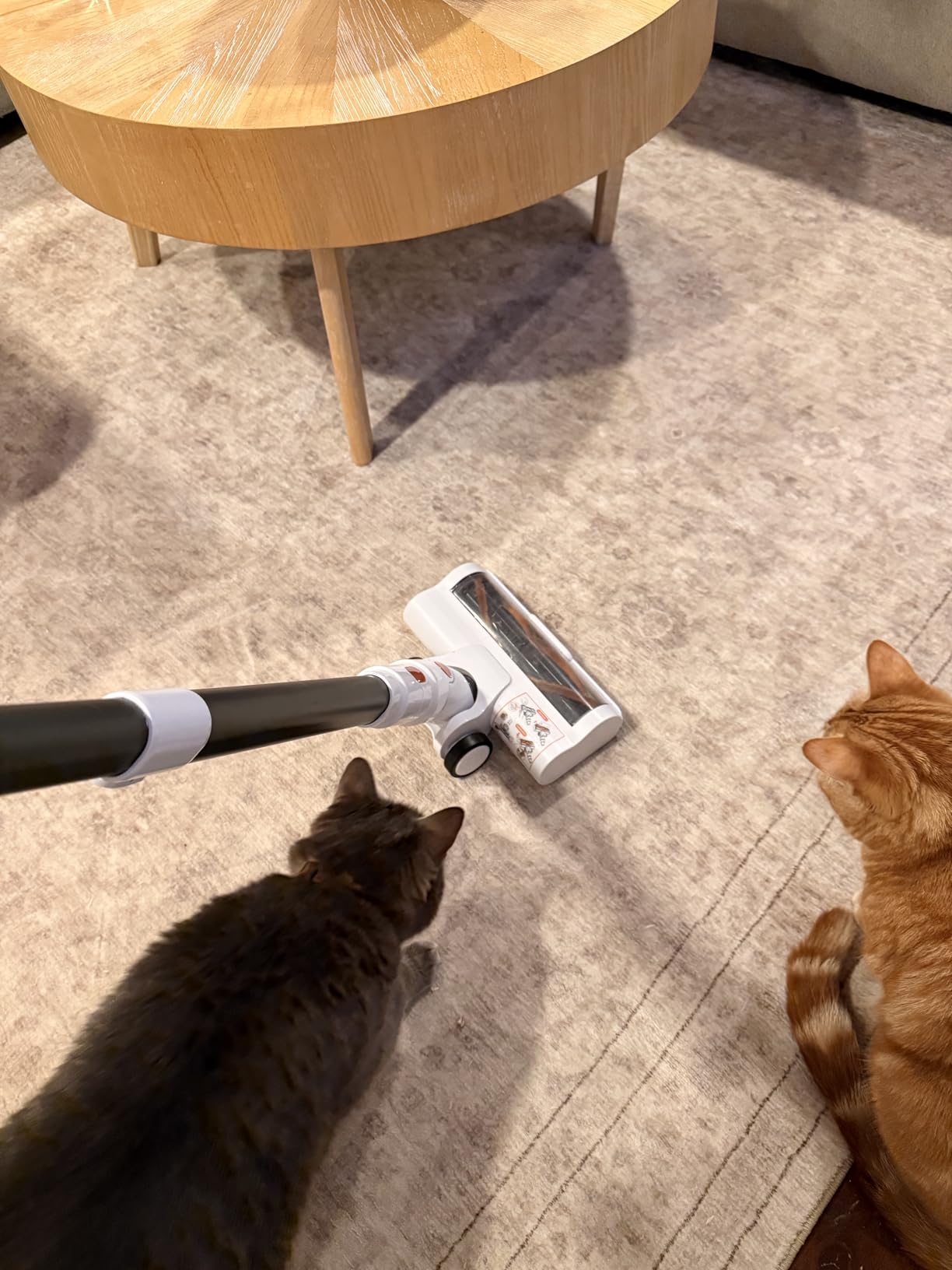 Tikom V500 Cordless Vacuum Cleaner for Home, 40000Pa/450W Stick Vacuum with LED Touch Screen, Charging Wall Dock, Anti-Tangle, Lightweight Handheld Vacuum for Pet Hair, Hard Floor, Carpet customer photo 1