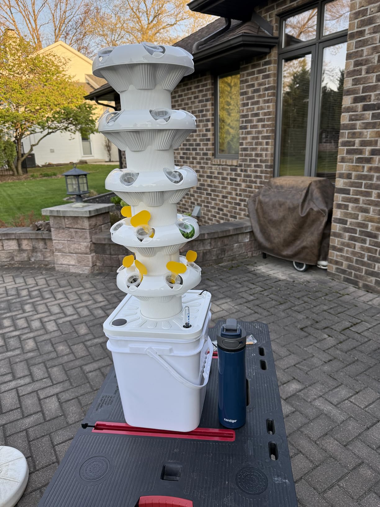 SJZX Hydroponics Growing System Kit, 5-Layer Hydroponic Tower, 30 Planting Holes, Space-Saving Vertical Gardening System customer photo 1