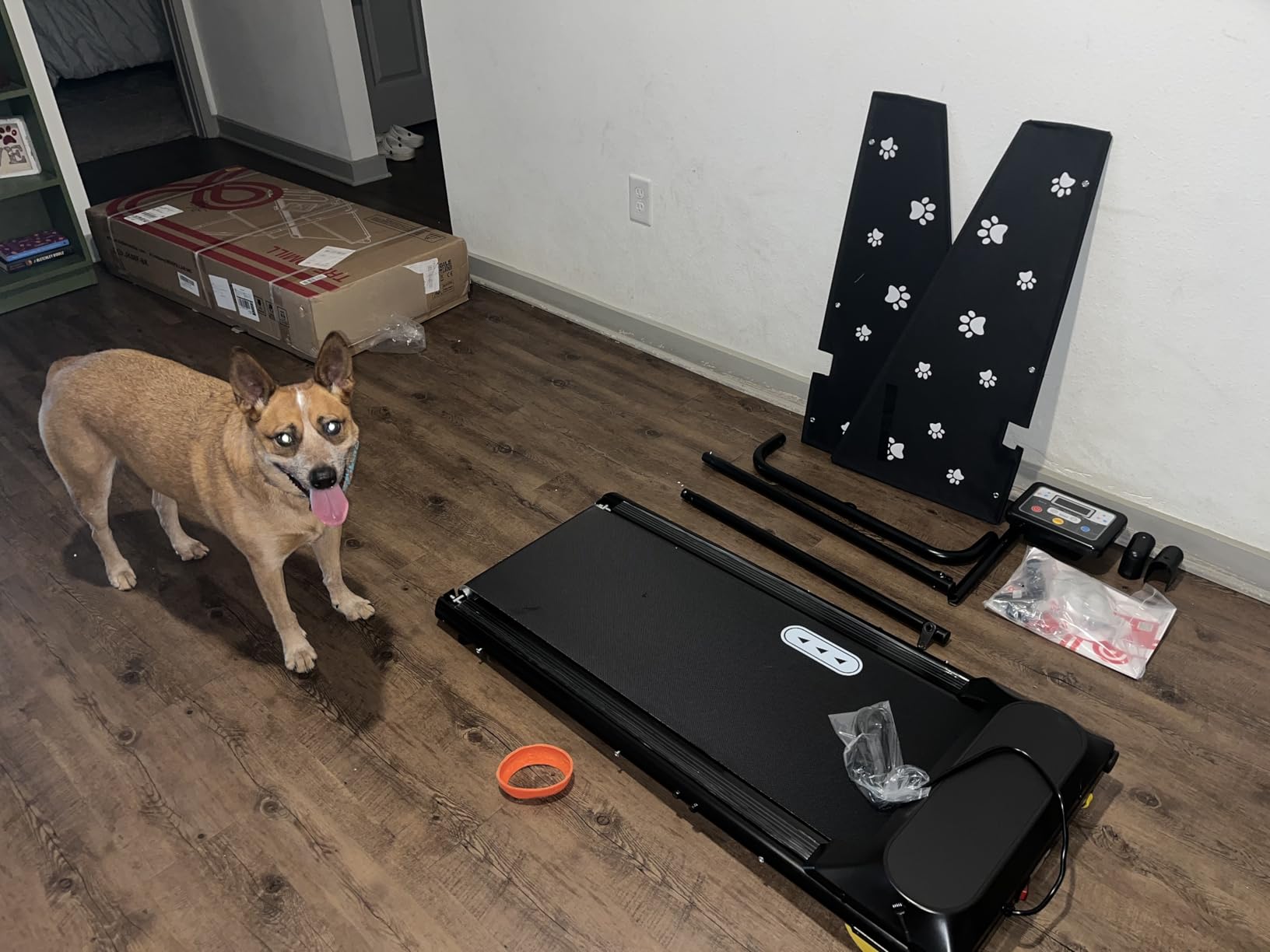 CIIHI Dog Treadmill for Medium Small Dogs - 265lbs Weight Capacity Pet Running Machine with 360 Degree Rotatable Display - 2 in 1 Treadmill for Pet Fitness with Move Wheels and Remote Control customer photo 2