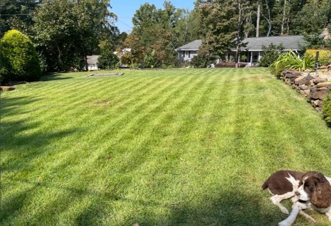Husqvarna Automower 410 iQ Robot Lawn Mower customer photo 1