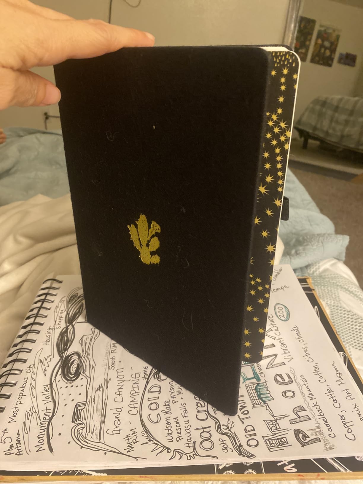Dingbats* Pro Dotted Large B5 Notebook - Textile Cover, Thread-Bound Writing Journal - for Work, Travel - Pocket, Elastic Closure, Bookmark customer photo 2