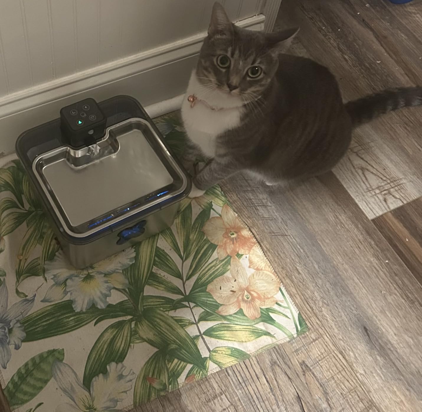 Cordless Cat Water Fountain : [Visual Filter] & [Heavy-Duty Stainless Steel] 3.2L/108oz, FEELNEEDY- Premium, Durable Design, 4000mAh Battery Operated Pet Fountain with Sensor, FN-W17 for Cats and Dogs customer photo 2