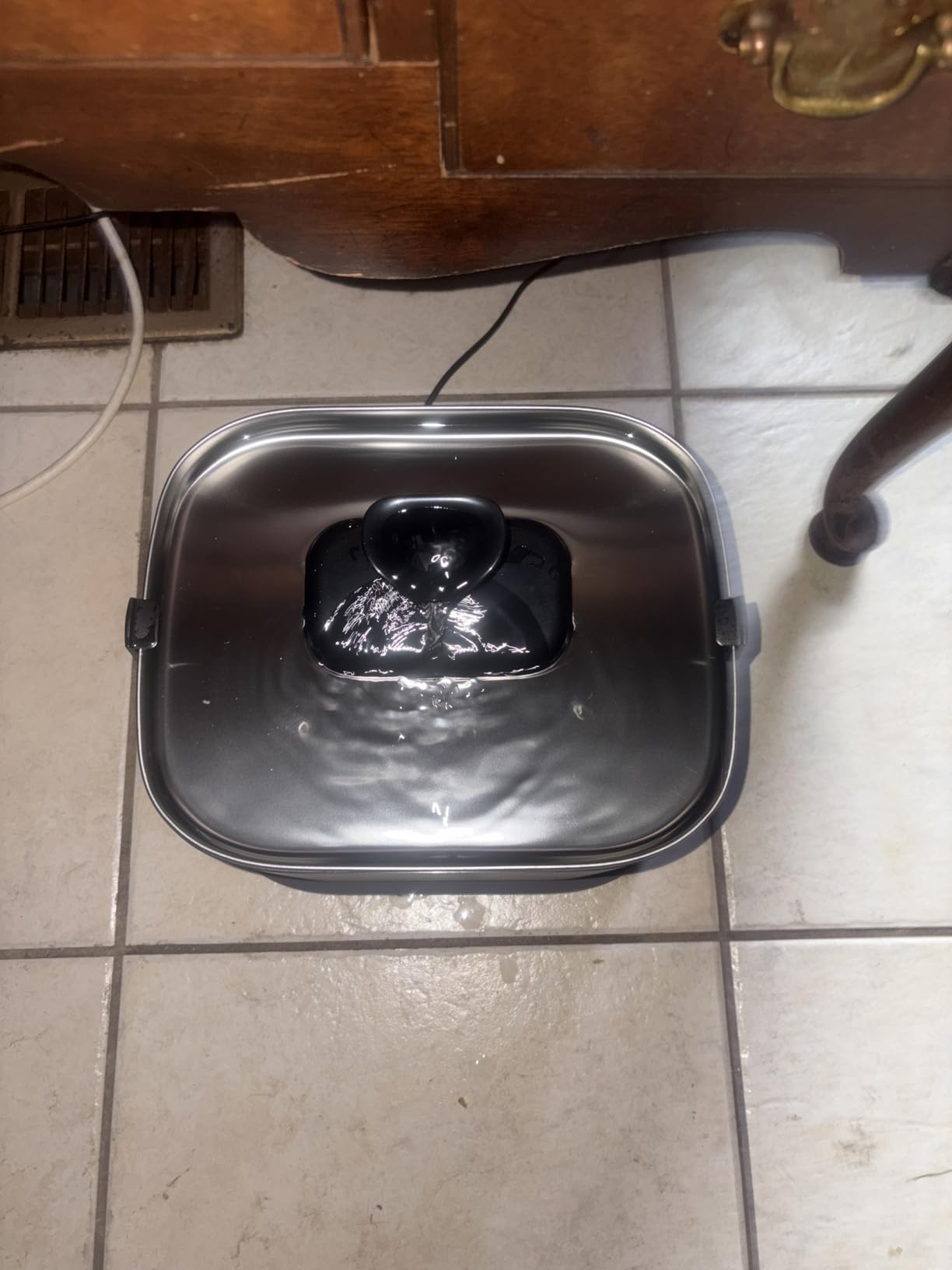 PETLIBRO Upgrade Cat Water Fountain Stainless Steel Tray, Dockstream 2 Cat Fountain Indoor, 3L/101oz Auto Cat Fountains for Drinking, App Monitoring Pet Water Fountain Dog, 5G WiFi Cat Water Dispenser customer photo 1