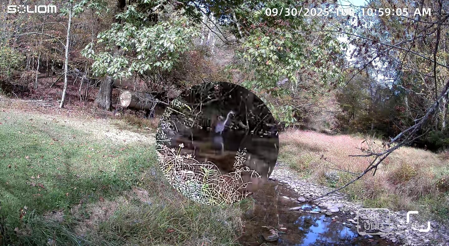 SOLIOM Security Cameras Wireless Outdoor, 4K Ultra HD for Day and Night, No Subscription, Solar Powered, 360° Pan Tilt Auto Tracking, 5G & 2.4G WiFi, 4-Cam Kit customer photo 1