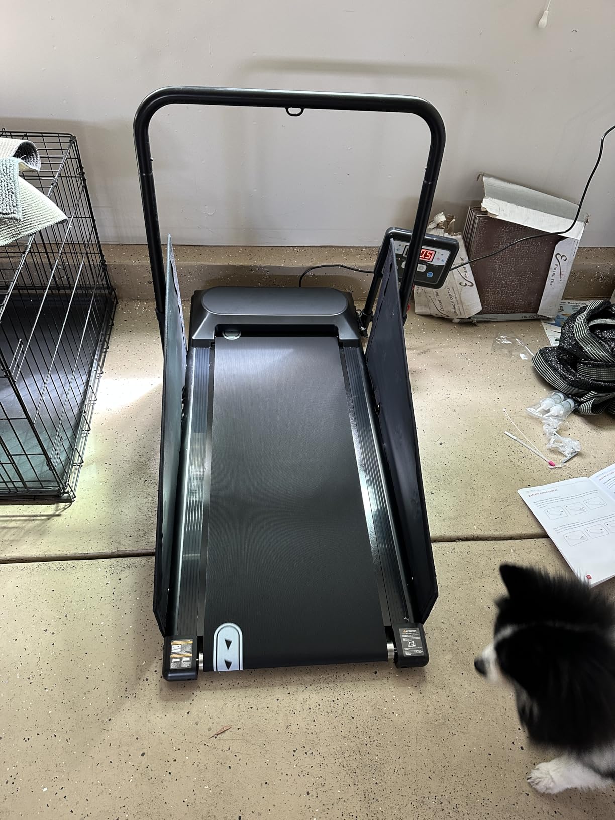 Petbobi Dog Treadmill for Small & Medium Dogs - Quiet Indoor Pet Exercise Machine with 360 Degree Rotatable Display, Remote Control & Wheels, Heavy-Duty 265 lbs Capacity for Fitness & Weight Management customer photo 2