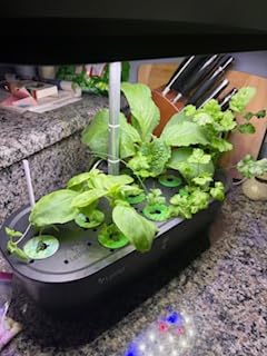 LETPOT Hydroponics Growing System, 12 Pods Indoor Herb Garden Kit with 24W LED Grow Light customer photo 1