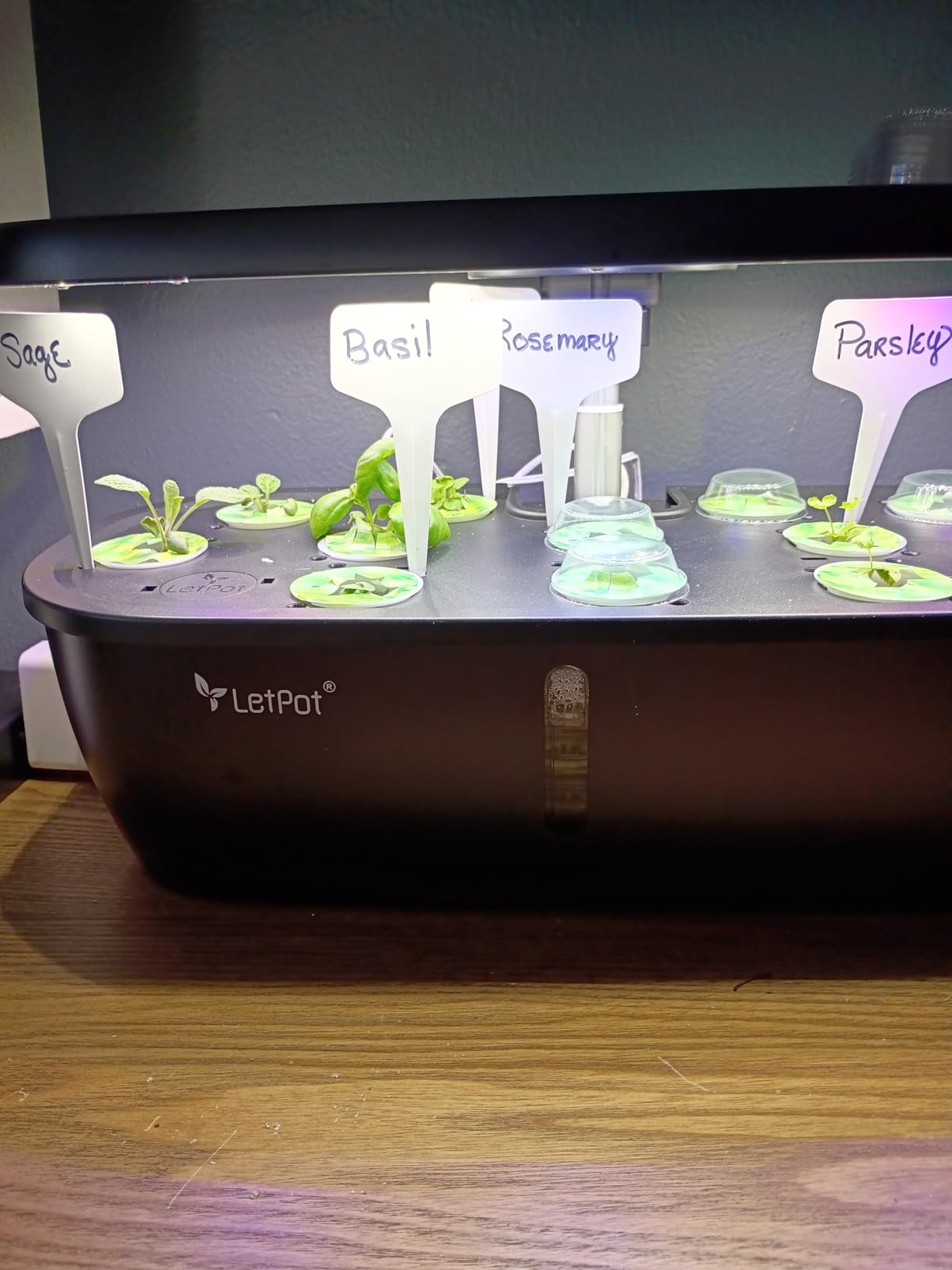 LETPOT Hydroponics Growing System, 12 Pods Indoor Herb Garden Kit with 24W LED Grow Light customer photo 2