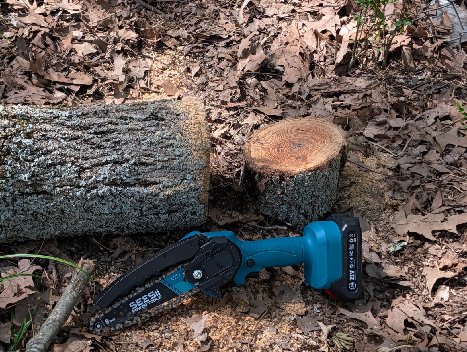 SEESII Electric Chainsaw Cordless 12-inch, Handheld Chain Saws with 2 x 4.0Ah Battery, Tree Saw with Tool-free Chain Tension, Auto Oiling for Wood Cutting Trimming Branch customer photo 1
