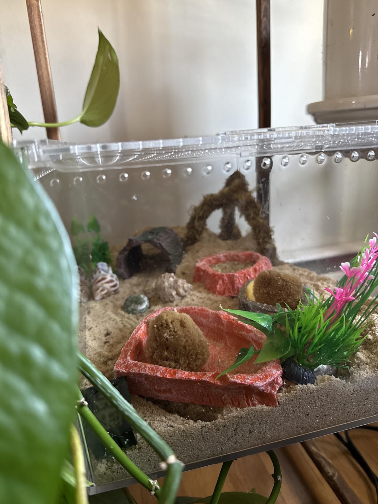 Large Reptile Terrarium Kit, Escape Proof Tarantula Enclosure, PC Starter Hermit Crab Tank, Spider Habitat for Praying Mantis Cage, Frog Vivarium, Insect House, Lizard Cribs, Leopard Gecko Container customer photo 1