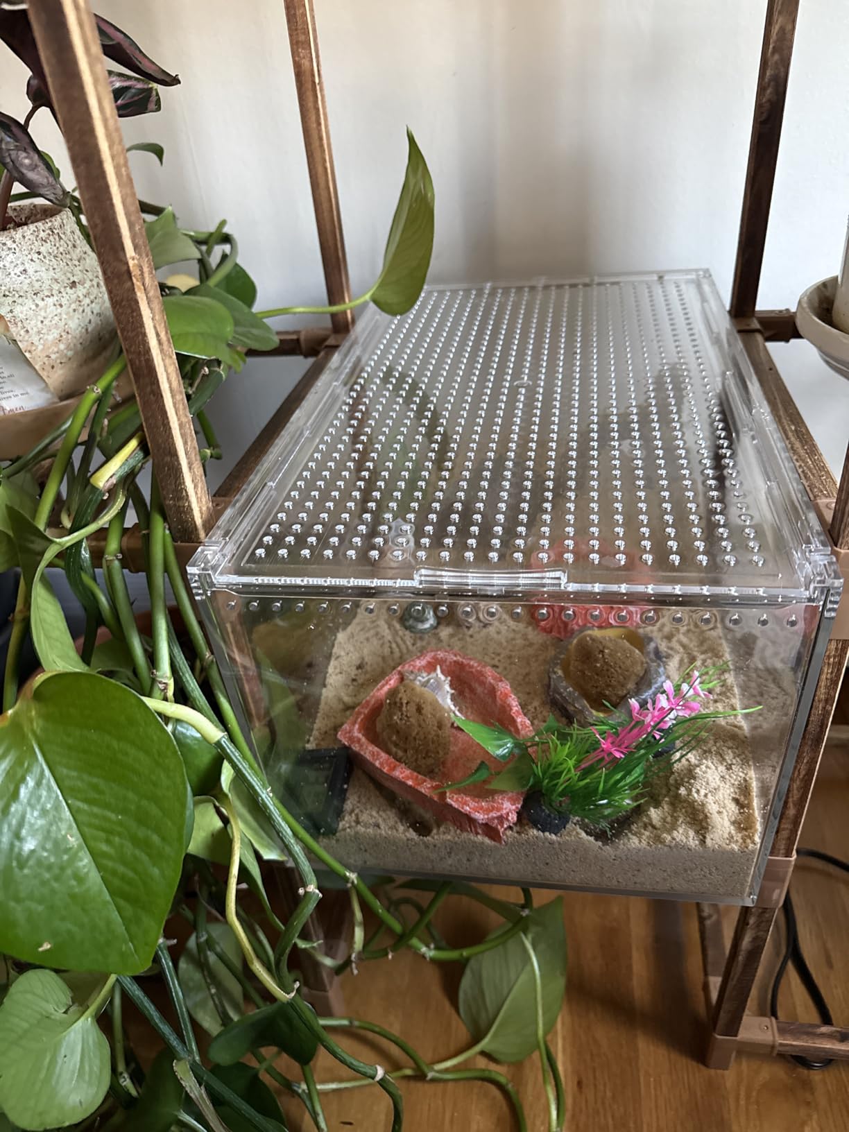 Large Reptile Terrarium Kit, Escape Proof Tarantula Enclosure, PC Starter Hermit Crab Tank, Spider Habitat for Praying Mantis Cage, Frog Vivarium, Insect House, Lizard Cribs, Leopard Gecko Container customer photo 2