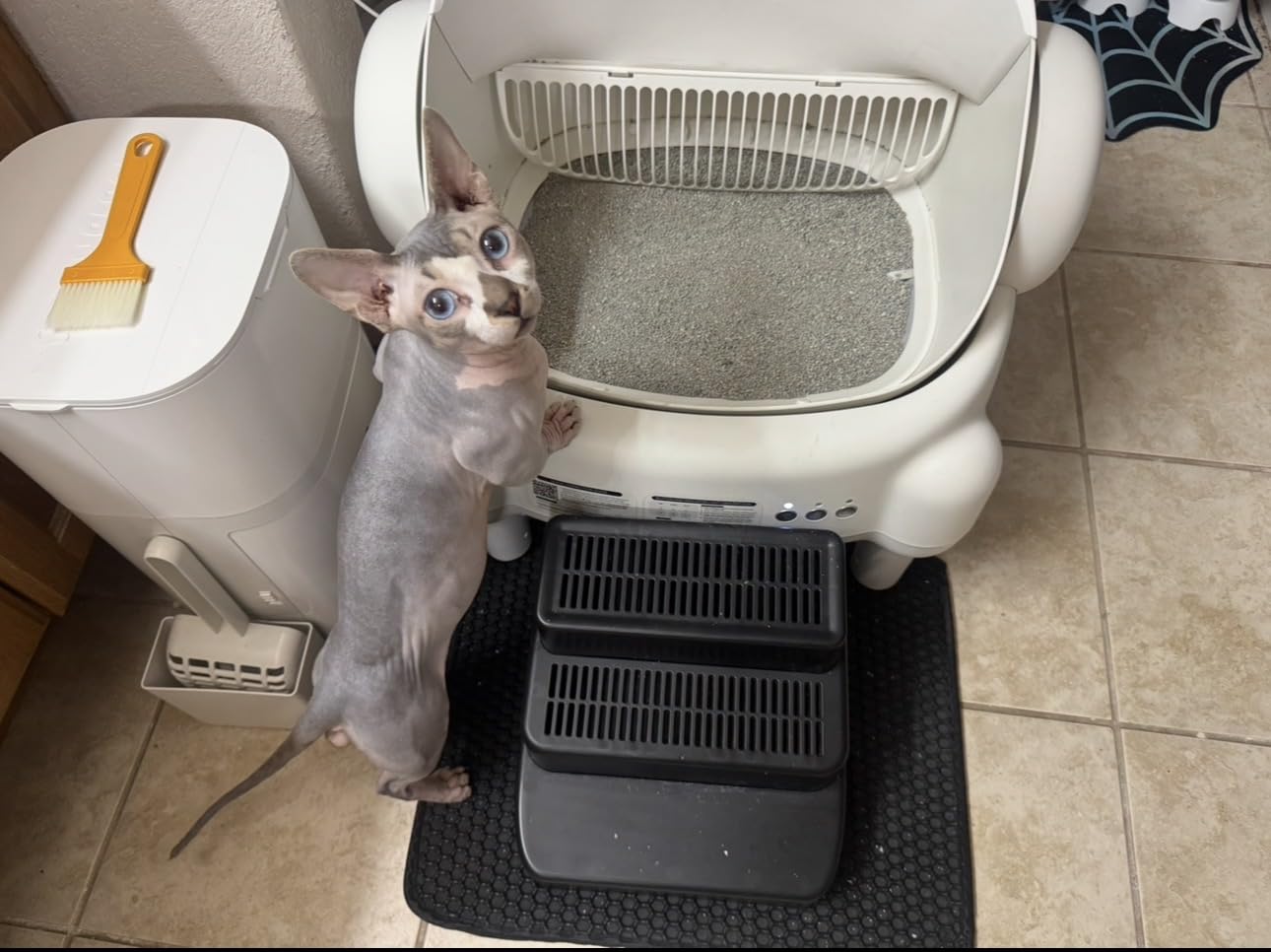 Self Cleaning Litter Box, Open Top Automatic Litter Box with App Control for Multiple Cats, Safety Sensors Protection, Odor Control Includes 2 roll Liners, Large Waste Bin, Cream White customer photo 1