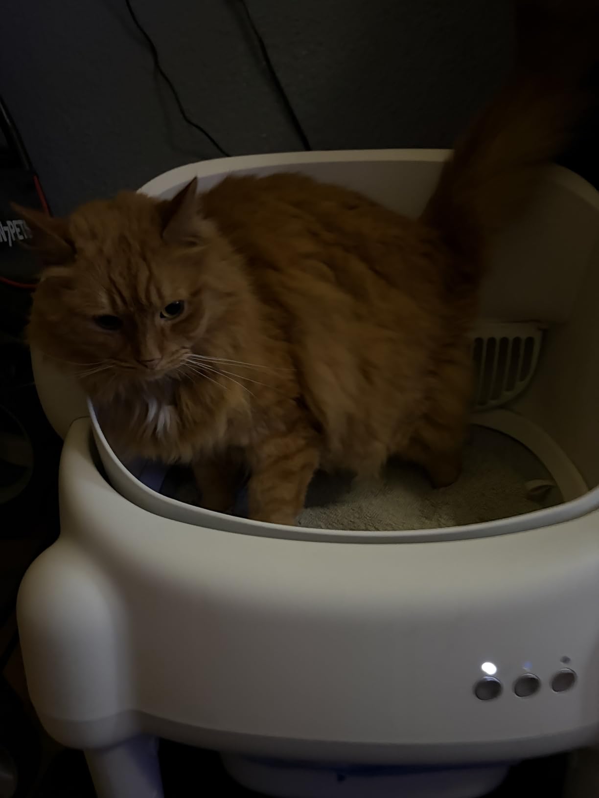 Self Cleaning Litter Box, Open Top Automatic Litter Box with App Control for Multiple Cats, Safety Sensors Protection, Odor Control Includes 2 roll Liners, Large Waste Bin, Cream White customer photo 2