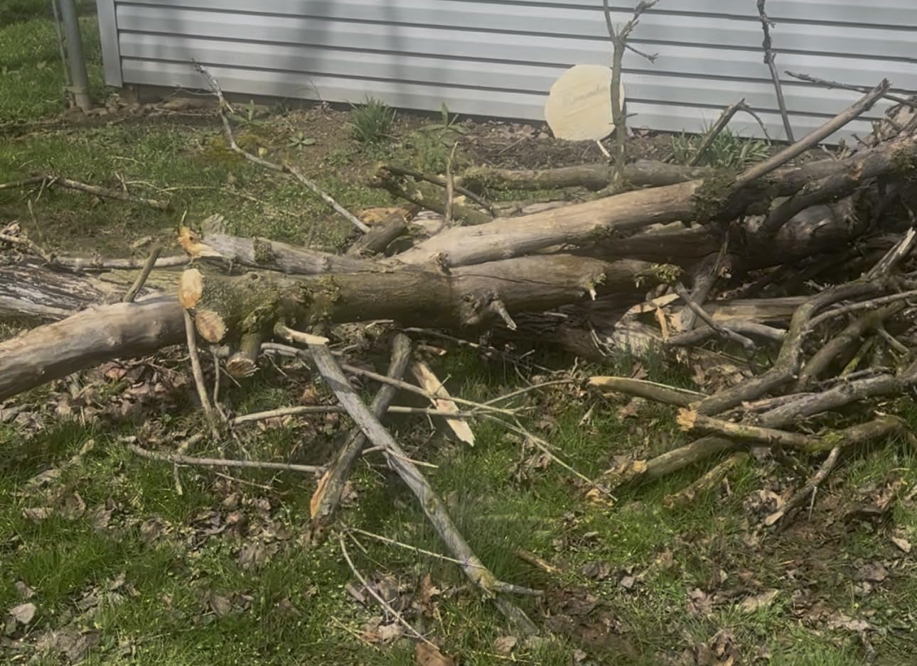 Electric Pole Saw, 6-Inch Cordless Mini Chainsaw with Extension Pole, Extendable to 16 ft, 2x4.0Ah Batteries, Tool-Free Chain Tensioning, Electric Pole Chainsaw for Tree Trimming & Thick Branch Cutting customer photo 1