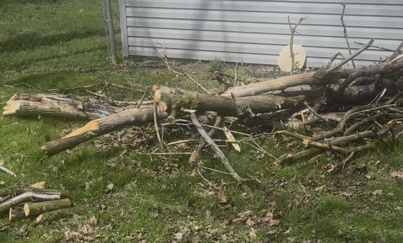 Electric Pole Saw, 6-Inch Cordless Mini Chainsaw with Extension Pole, Extendable to 16 ft, 2x4.0Ah Batteries, Tool-Free Chain Tensioning, Electric Pole Chainsaw for Tree Trimming & Thick Branch Cutting customer photo 2