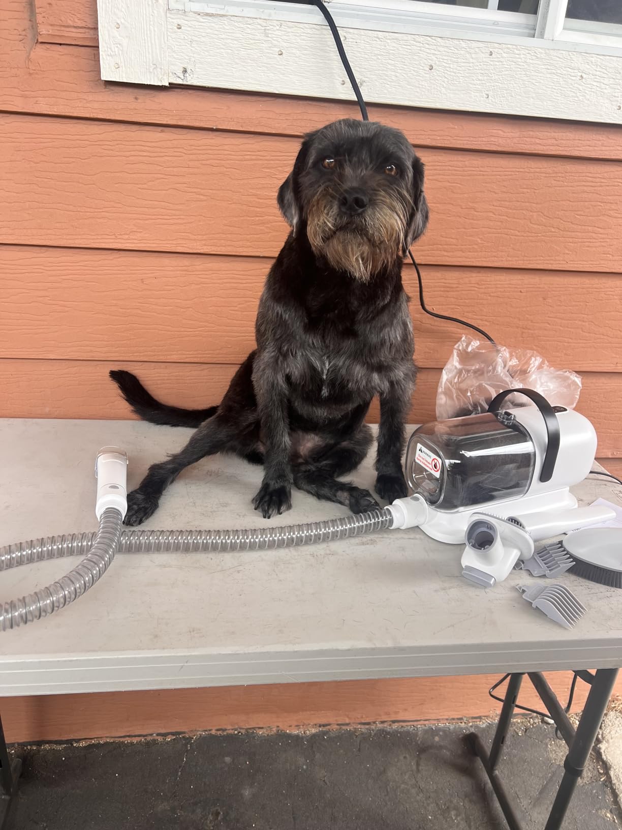 FIXR Dog Grooming Vacuum, All-in-One Pet Grooming Kit with Hair Clipper & Shedding Brush, Low Noise 12,000Pa Dog Hair Remover Vacuum, Pet Groomer Set with Cleaning Brushes, PG01 customer photo 2