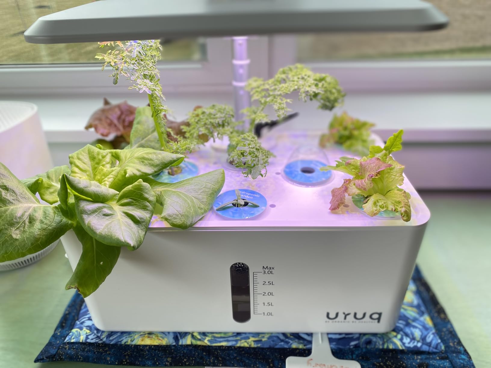 URUQ Hydroponics Growing System Garden: 8 Pods Indoor Herb Garden with Grow Light Plants Germination Kit customer photo 1