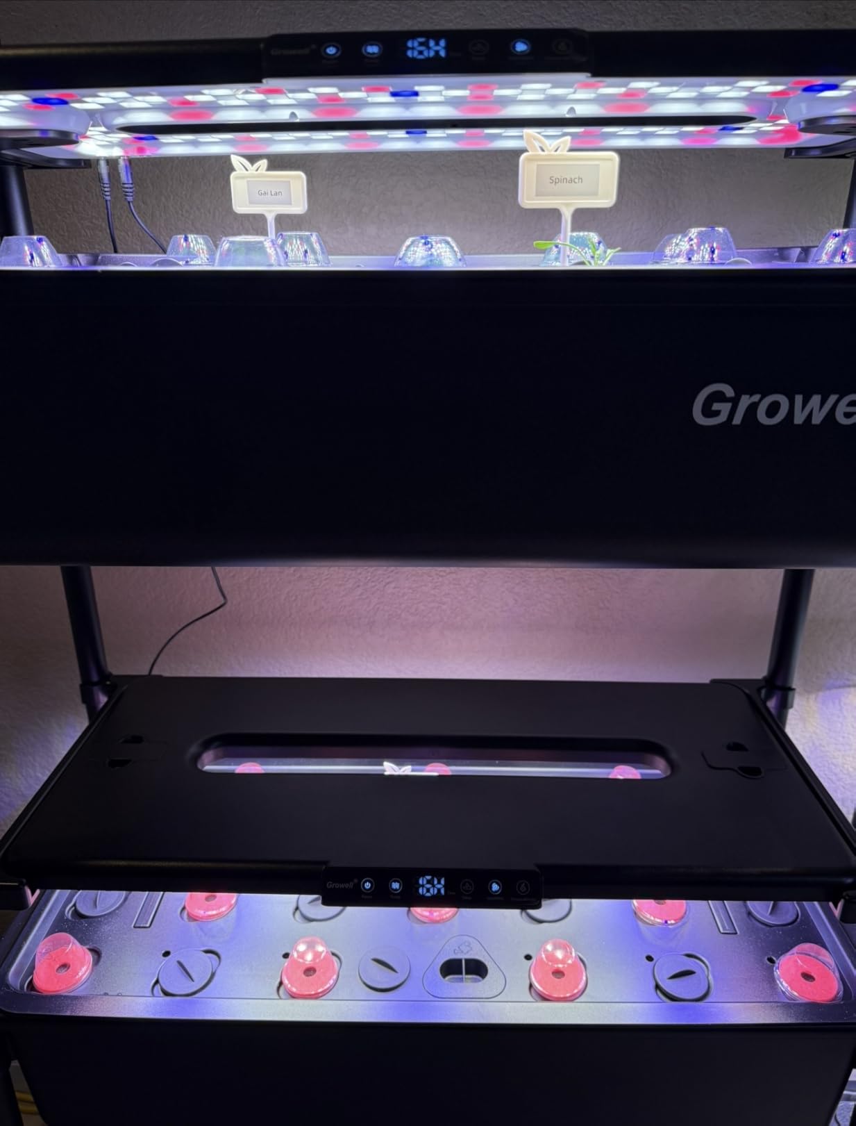 Growell Large Hydroponics Growing System Kit, Vertical Indoor Herb Garden Kit with LED Grow Light & Independent Water Pump, 28L Movable Indoor Planter Perfect Gardening Gifts (2 Tier-54 Pods Black) customer photo 1