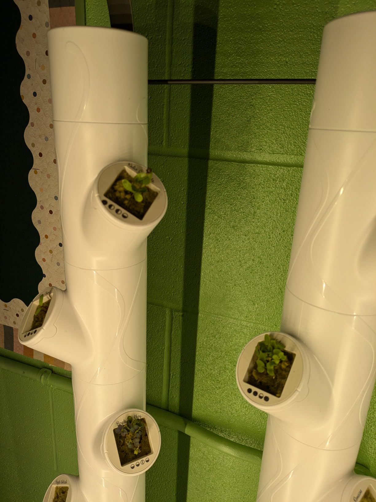 Gardyn Home 4 Vertical Hydroponics Growing System Kit - 30 Non-GMO Plants, Herbs, Vegetables - Smart Tower Garden Hydroponic Herb Garden Planter Indoor Kit - Indoor Gardening System w/LED Grow Lights customer photo 1