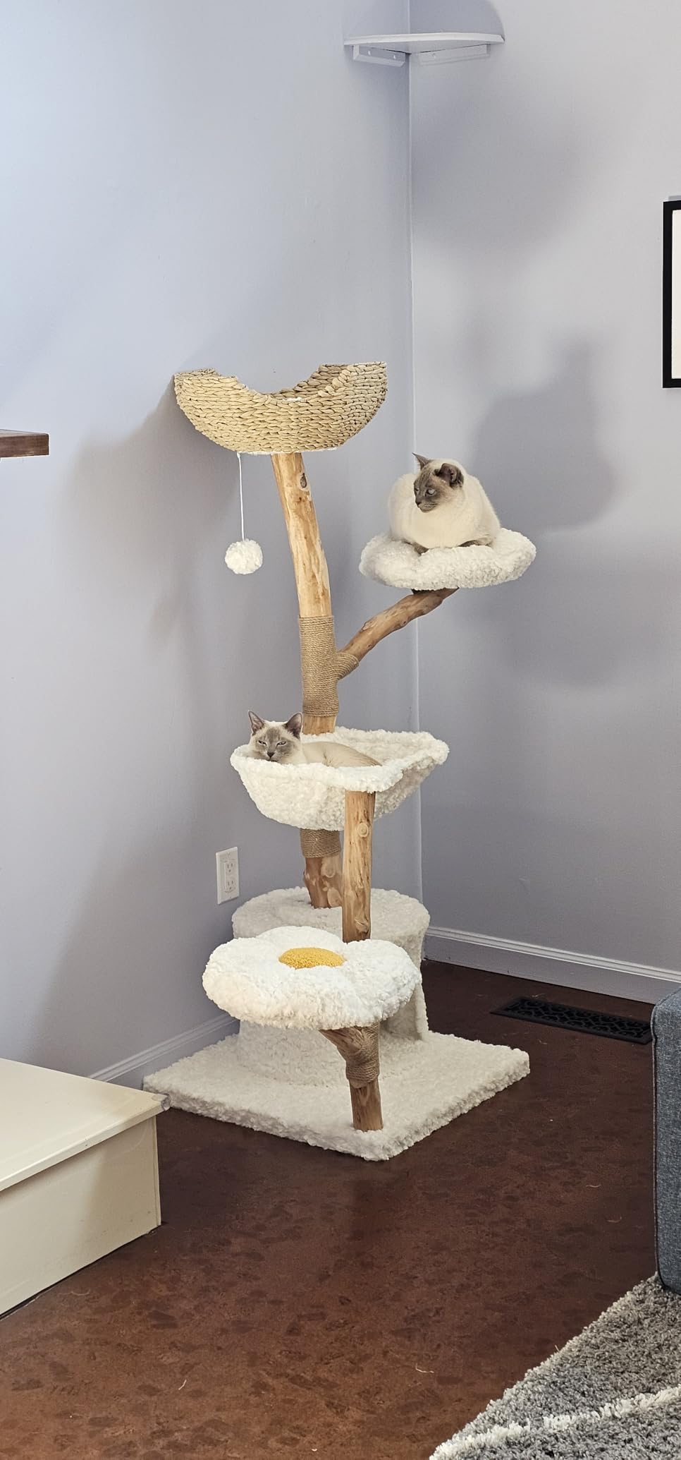 PAWZ Road Cat Tree for Indoor Cats Large Adults, 59 Inches Modern Cat Tower with 3 Large Baskets, Natural Solid Wood, Luxury Condo and Hammock customer photo 2
