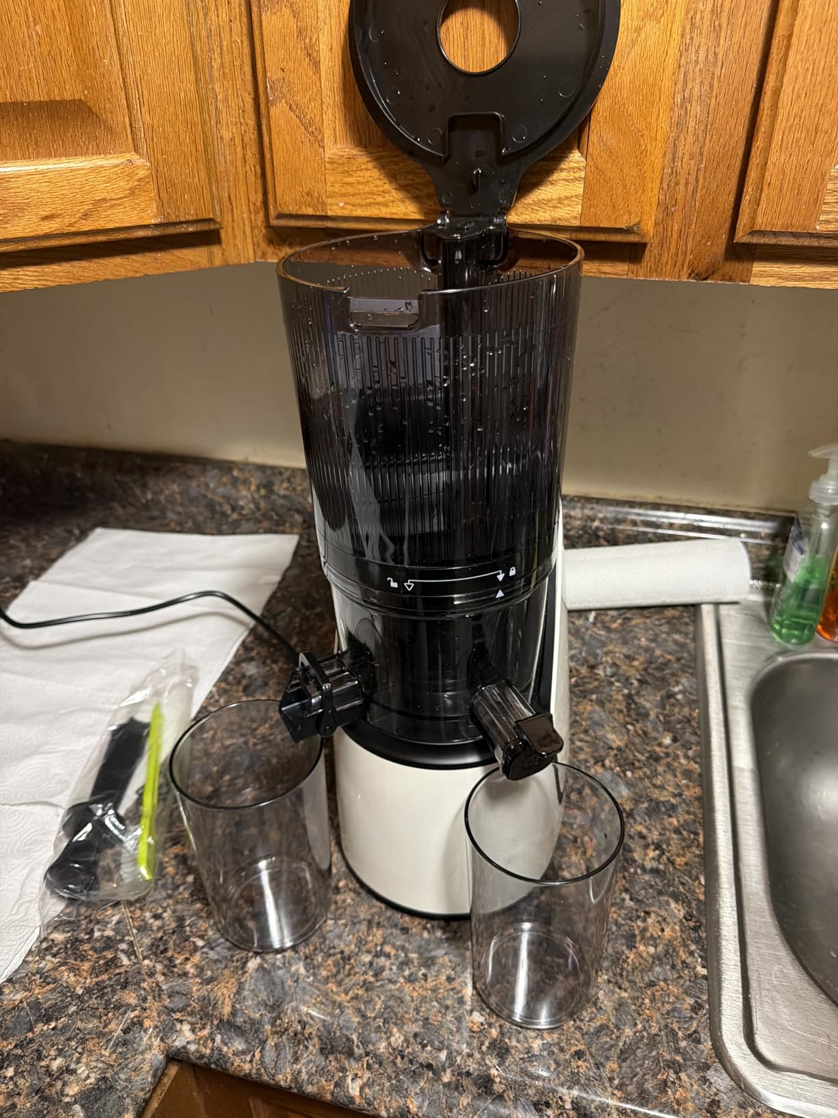 EanOruus Juicer Machines, 3-in-1 Cold Press Juicer with 6.5