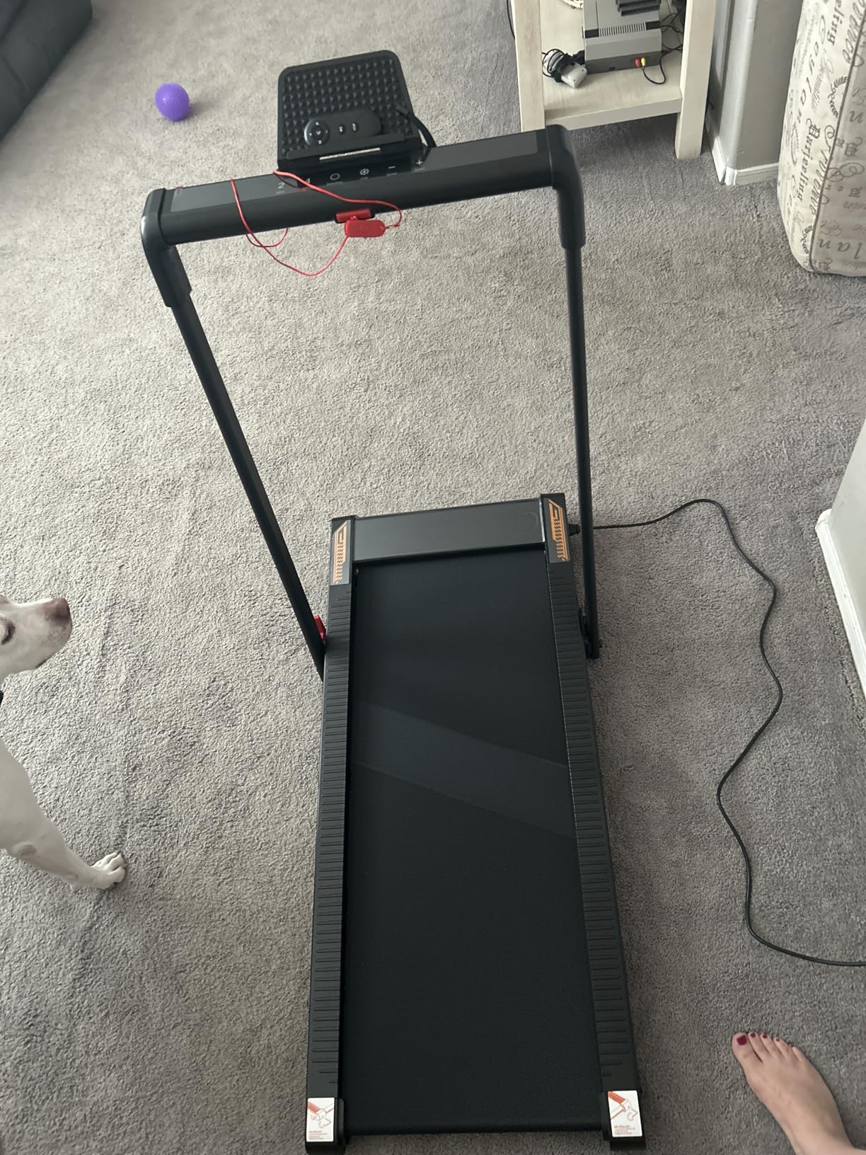 Treadmill with Speaker, 6-in-1 7.5MPH Foldable Treadmill for Home with App Compatible, Walking Pad with 10% Incline, LED Display, 3.0HP Brushless Drive, 350 LB Weight Capacity, 12 HIIT Programs customer photo 2