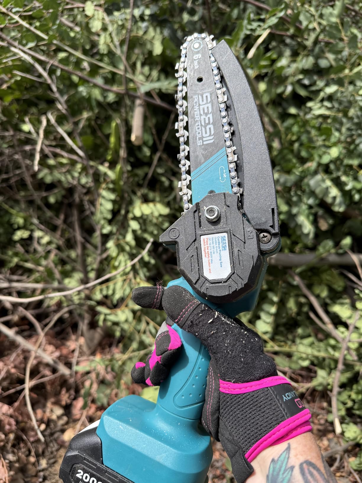 SEESII 2-in-1 Electric Pole Saws: Brushless Mini Chainsaw Cordless 6 Inch, 2 x 4000mAh Batteries, Pole Saw for Tree Trimming, Hand held Chain Saw with Extension Pole for Tree Limb Branch Cutter, P6 Ace customer photo 2