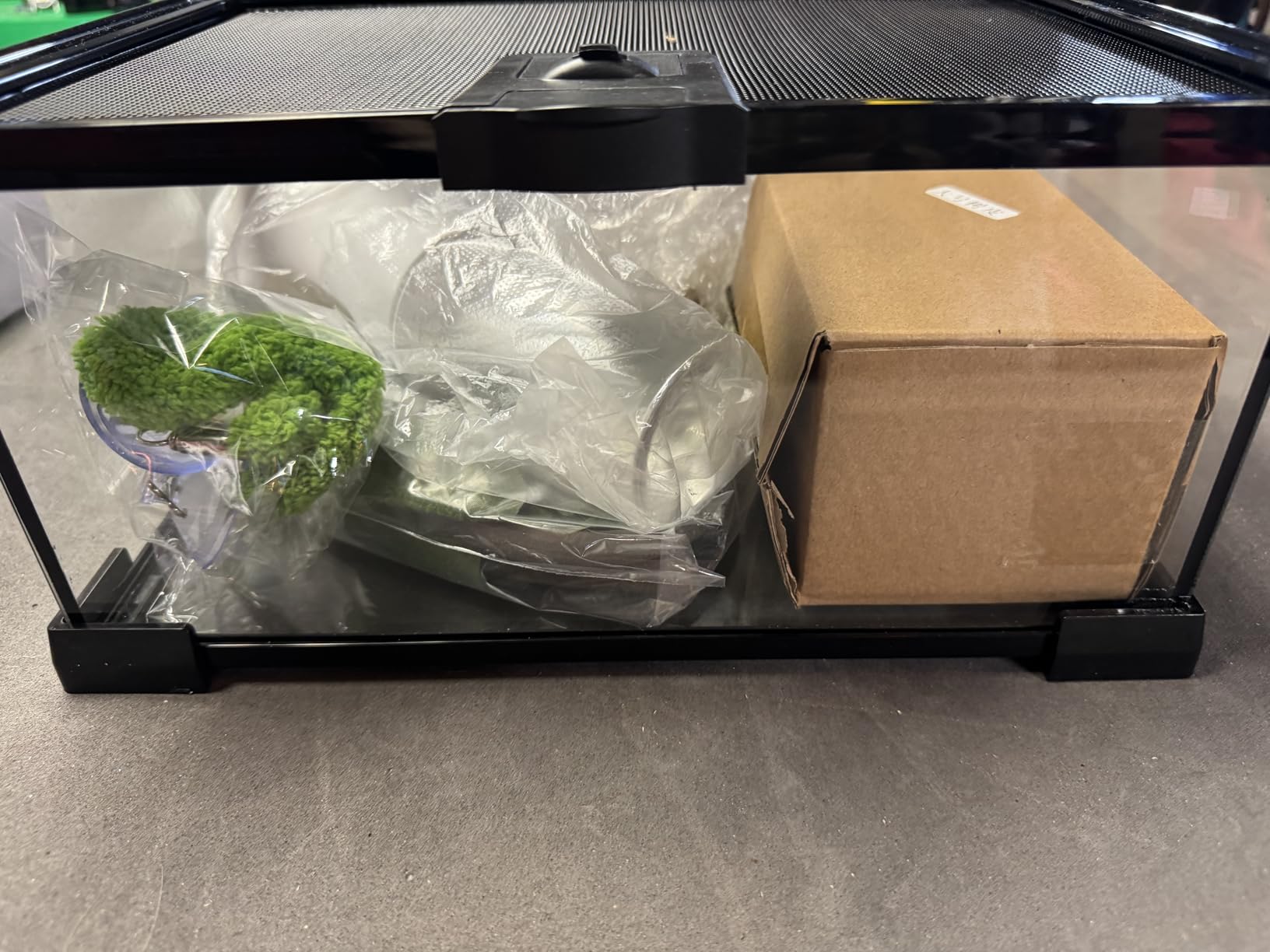 Reptile Terrarium Glass Kit 12