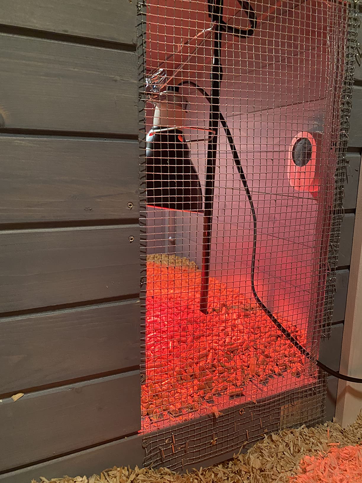 PETSFIT Wooden Chicken Coop for 2-4 Chickens, Backyard Coop with Run, 2 Nesting Boxes and 2 Roost Bars, PVC Windows, Easy-Clean 3-Door Access, Weather-Resistant PVC Roof, 6 Ground Stakes customer photo 2