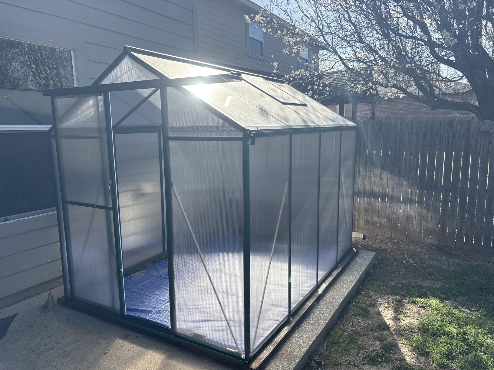 GarveeHome 6X8 FT Greenhouse with Aluminum Frame and Polycarbonate Panels customer photo 2