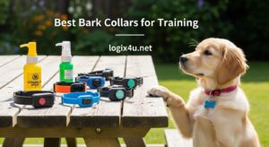 Best Bark Collars for Training