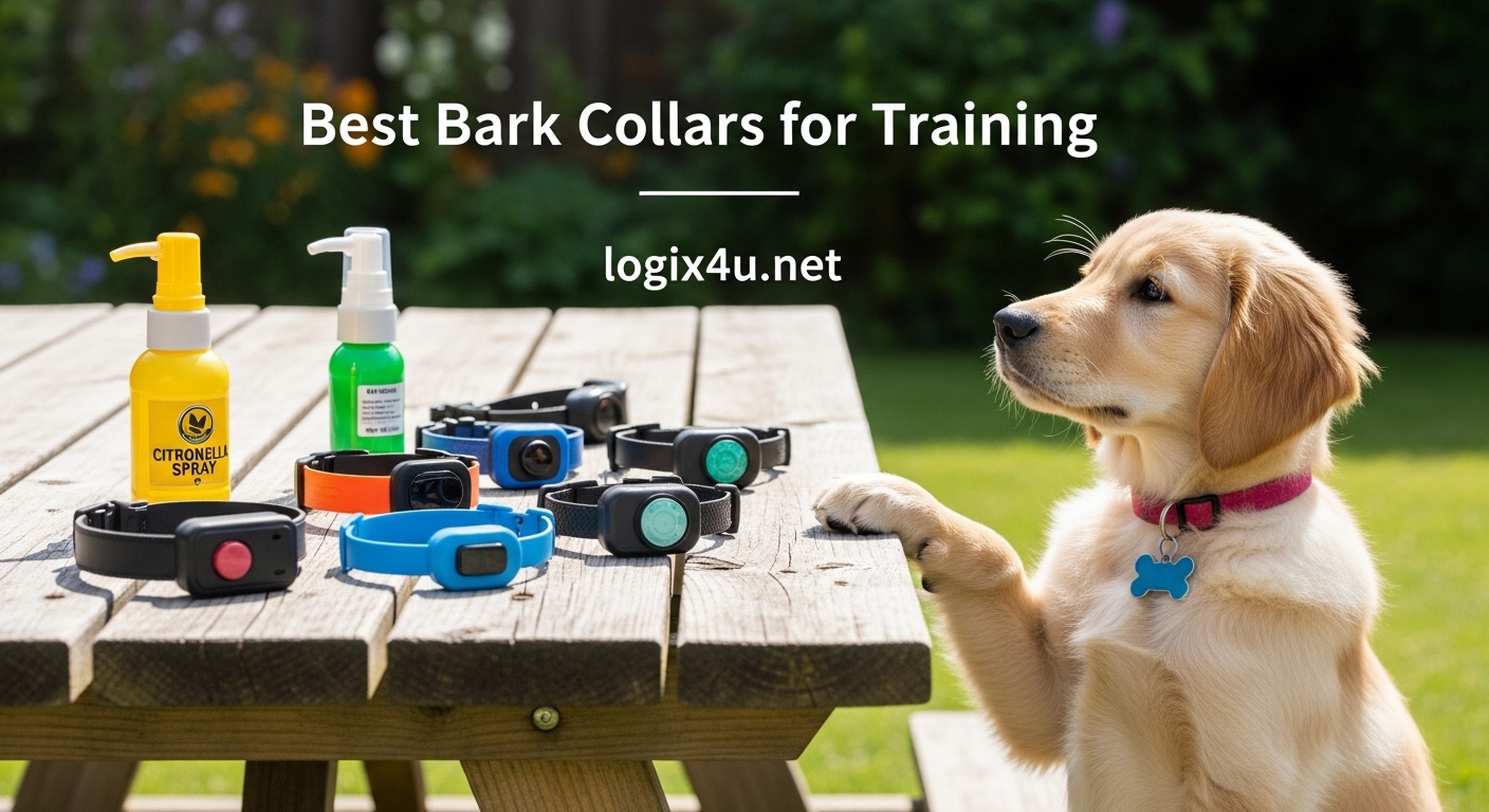 Best Bark Collars for Training