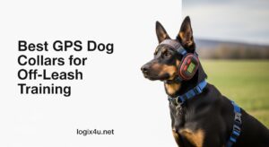 Best GPS Dog Collars for Off-Leash Training