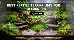 Best Reptile Terrariums for Beginners