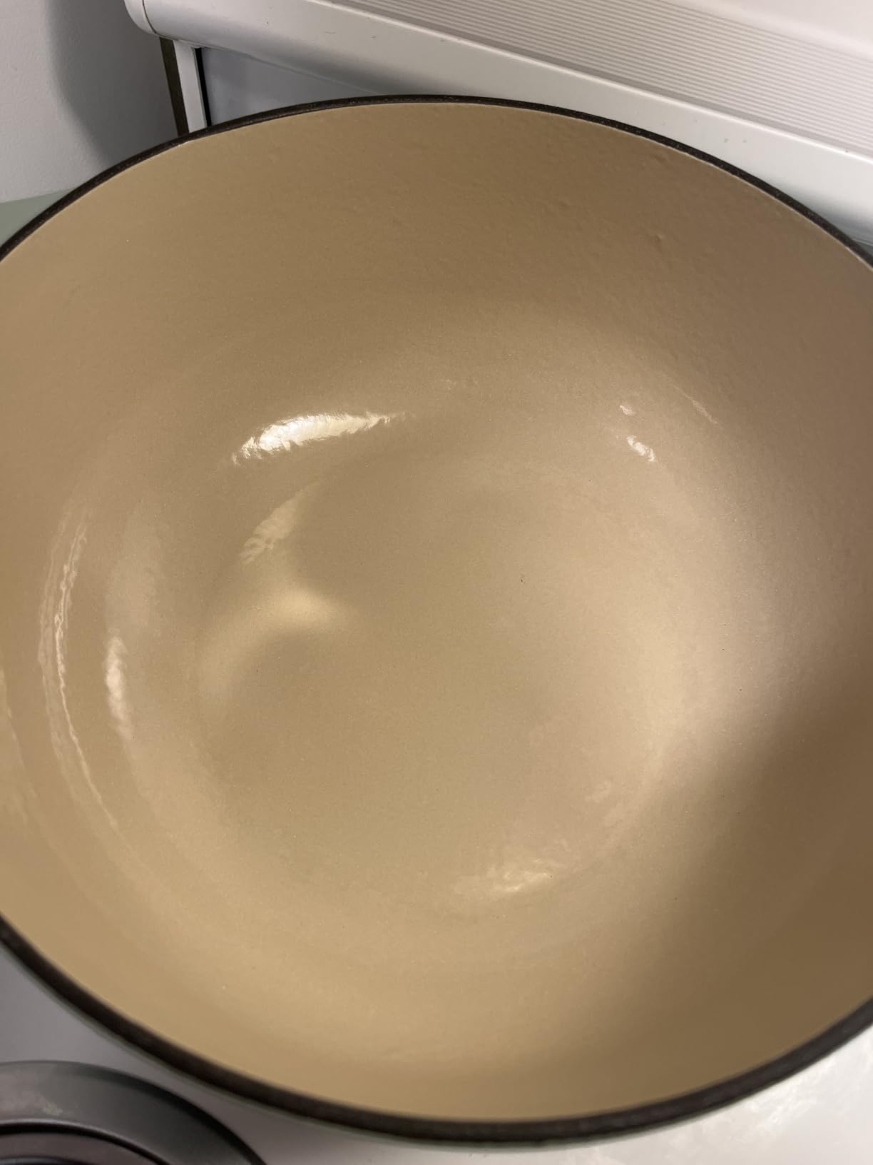 Lodge Essential Enamel Cast Iron Dutch Oven 6 Quarts - Perfect for Bread Baking, Braising, Marinating & Slow Cooking, Features Moisture-Sealing Lid & Dual Handles, Caribbean Blue customer photo 1