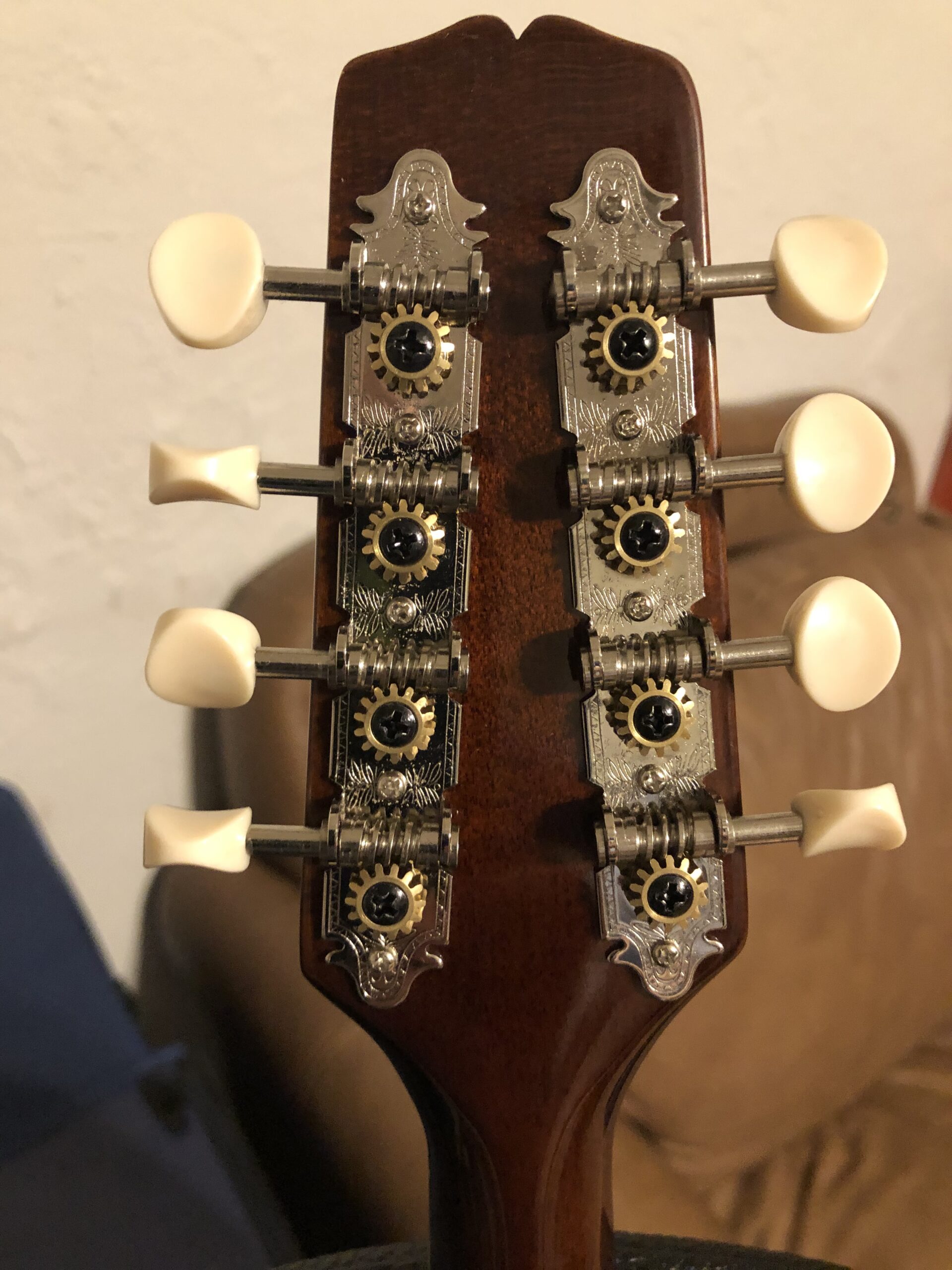 Kentucky KM-250 Artist A-model Mandolin - Sunburst customer photo 2