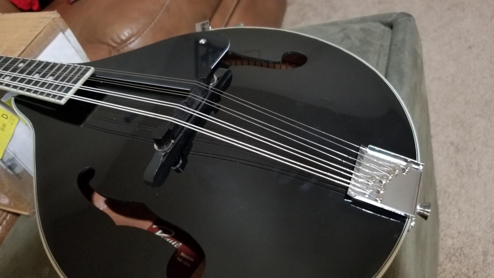 Rogue RM-100A A-Style Mandolin Black customer photo 1