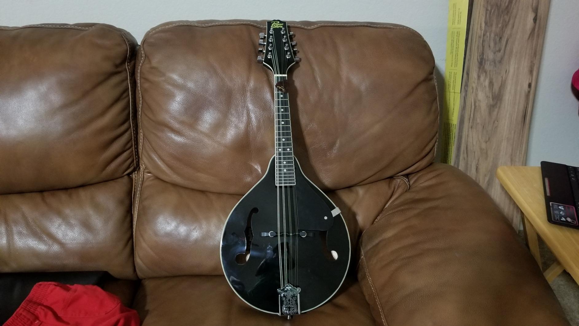 Rogue RM-100A A-Style Mandolin Black customer photo 2