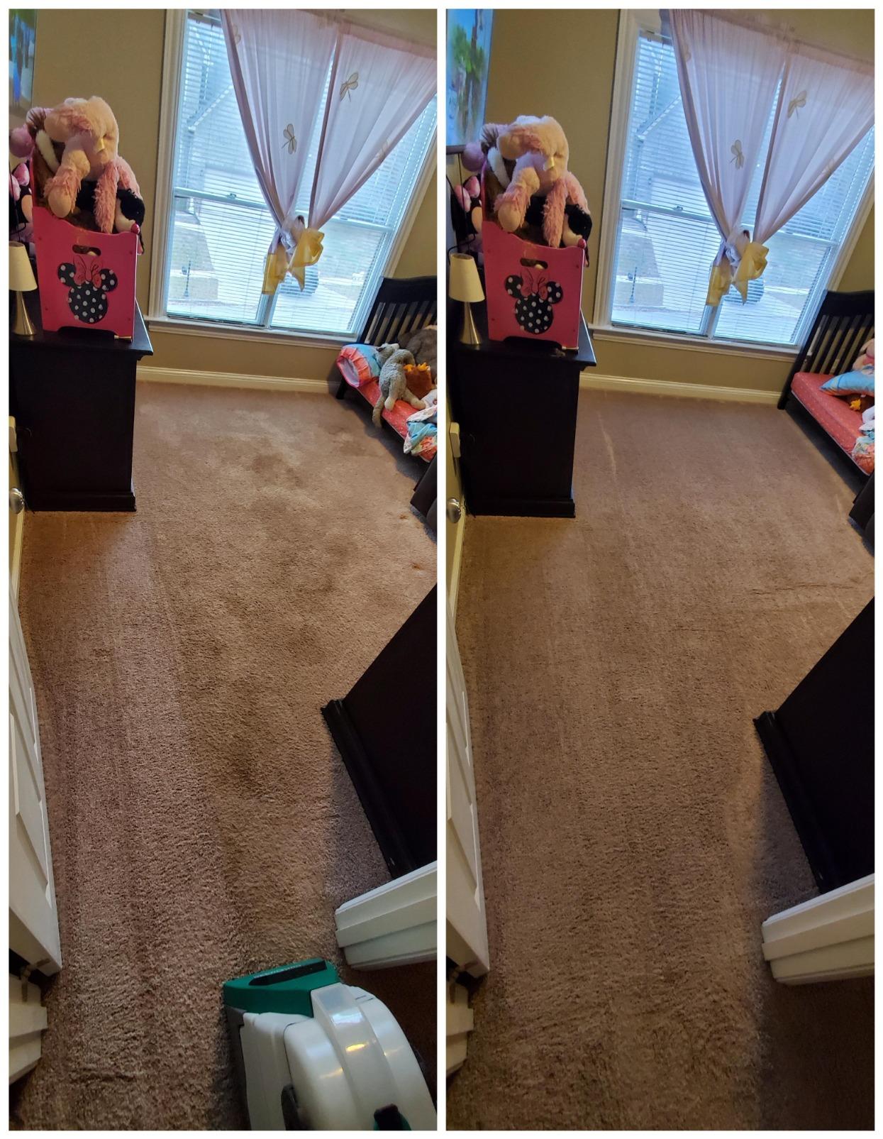 BISSELL Big Green Professional Carpet Cleaner with XL DirtLifter PowerBrush, 9-inch Long Reach Hose, 6-inch Tough Stain Tool, Includes BISSELL PRO MAX Formula customer photo 2