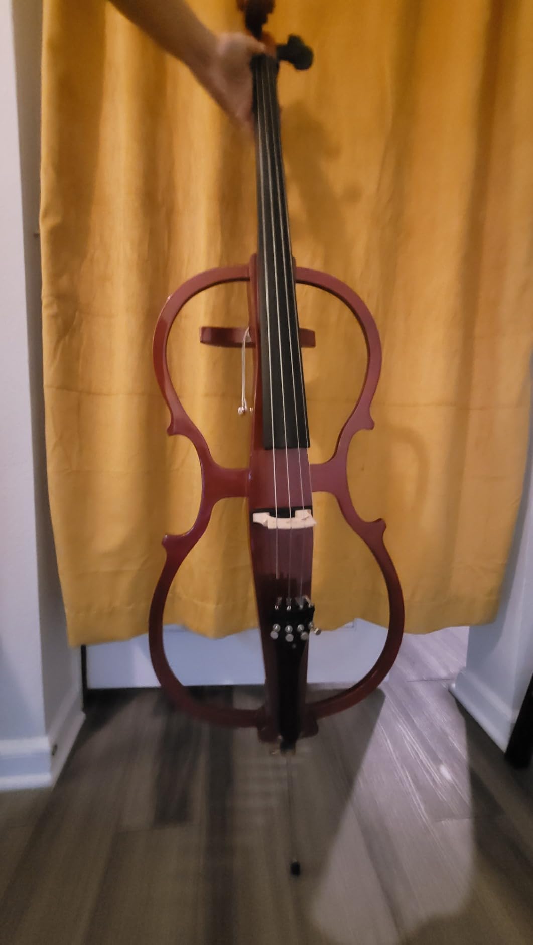 Cecilio CECO-1DW Ebony Electric Silent Metallic Mahogany Cello in Style 1, Size 4/4 (Full Size) customer photo 1
