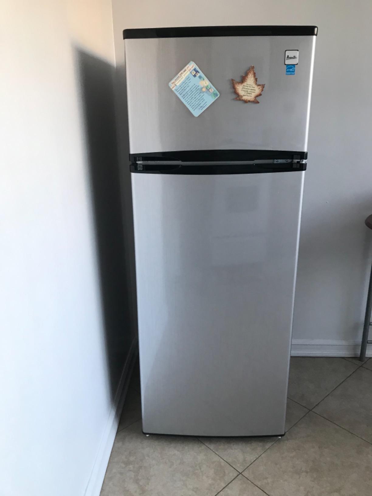 Avanti 10.0 cu.ft. Apartment Size Refrigerator, Compact Fridge with Top Freezer with Temperature Control and Adjustable Shelves and Crisper Drawer, 10.0 cu.ft., White customer photo 1